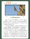 鹰志?励志文章