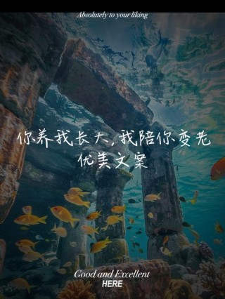 你陪我长大，我陪你变老～感恩父母