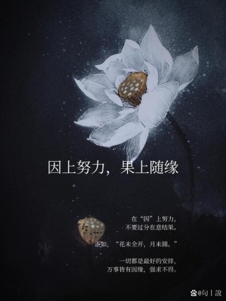 随缘是人生大智慧