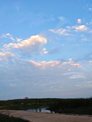 天空凝情，怎能走的优雅从容！