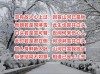 若人为雪，雪为人