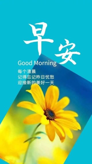 简单干净的早安心情说说，很经典很走心，让人忍不住分享