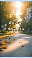 情感语录，情感语录，人生路上的温暖与感悟