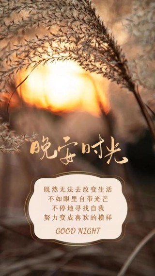 很暖很治愈的短句，暖心治愈短句，温暖如阳光，治愈心灵。