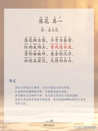 最美落花诗词20首：叹落花如雪，美而伤感