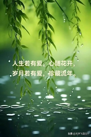 斑斓的生活，柔弱的心