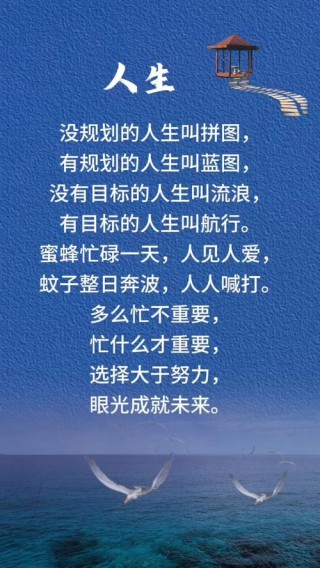 所有付出的努力，只为了人生选择的权利