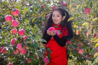 女儿的苹果园