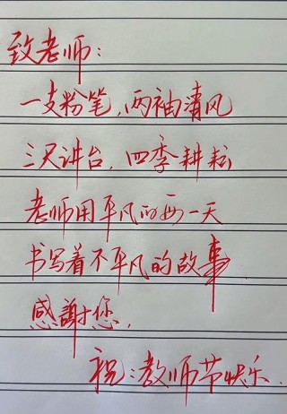 三尺讲台挥汗如雨，一支粉笔指点迷津