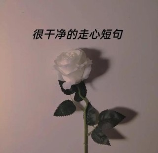 精湛走心的朋友圈说说，干净吸引人，独一无二
