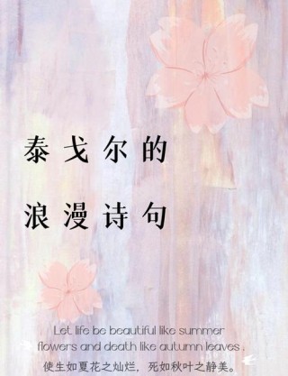 泰戈尔最惊艳句子，泰戈尔最惊艳的句子