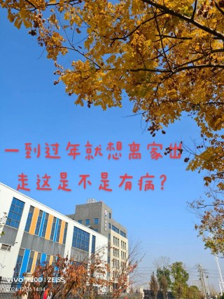 这个春节，只想一个人待着