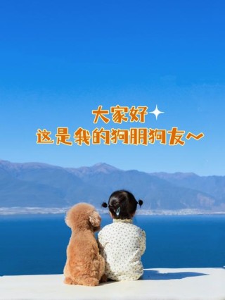 狗！你的好友！