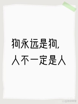 爱狗人士是个高尚的标签，而不是流氓，吃狗肉有时也是行善