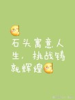 每个人都需要一块石头