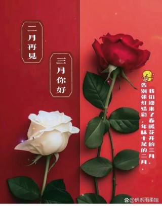 2022再见，2023你好：愿你做最好的自己，遇见更好的生活