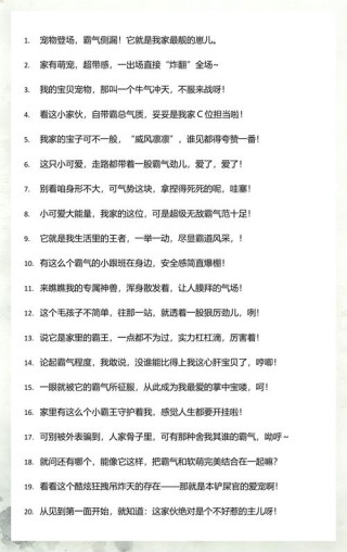 晒宠物的朋友圈文案短句