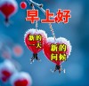 冬天最新10条温馨早安祝福语，岁月已晚，万物诉寒，问候冬安
