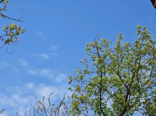 我心中的那一抹幽蓝