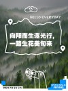 致自己成长路上的心情说说，阳光美好，很潮很走心