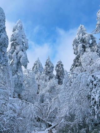 雪