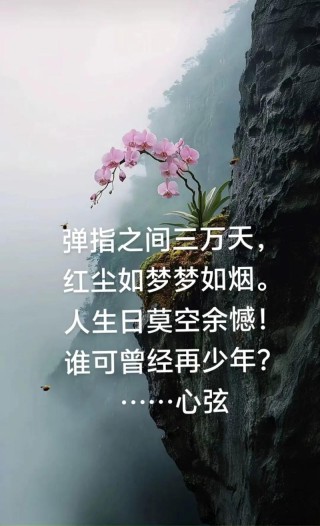 红尘一卷醉千年