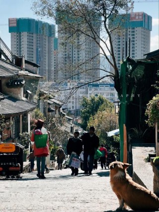 走在城市的边缘