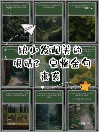 生活中不是没有美而是缺少发现