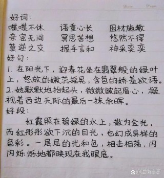 好词好句好段摘抄大全，好词好句好段摘抄大全