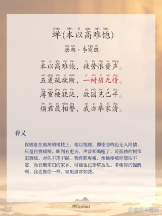 蝉鸣一夏，无问西东