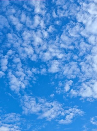 我已经忘了天空是蓝色的