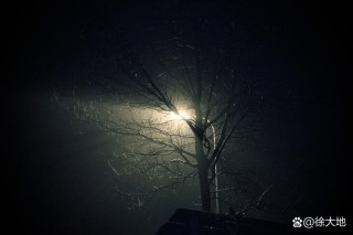 沉醉于夜的黑