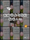 15句温暖有爱的祝福语 浪漫又高级