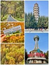 兴安岭上郁葱葱 （打一城市名）