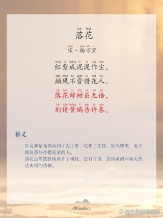 静待花开，细数花落