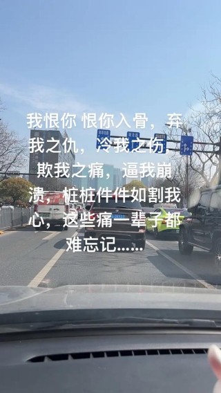 对不起恨你我做不到