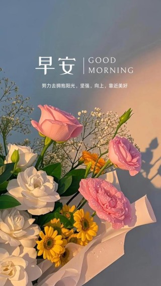早安心语 喜欢的就去追求，想说的就勇敢表达