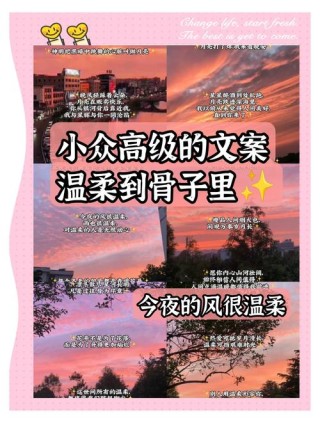 文案分享｜温柔浪漫不落俗套的摘抄