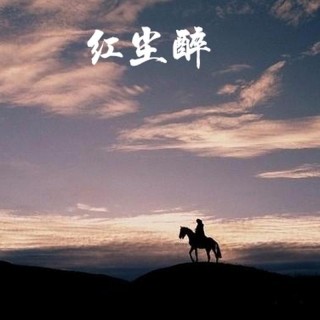 ​红尘漂泊