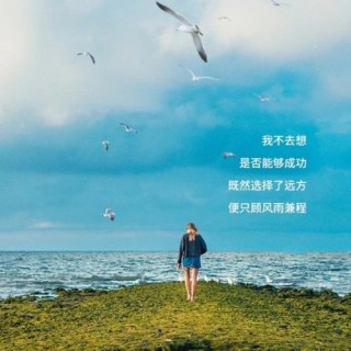 心向远方，不愿苟且，不愿将就