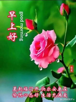 精选过往的晨语祝精福，以飨朋友寄托情思
