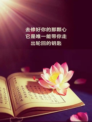 女人净化心灵禅语，女性心灵净化之禅语