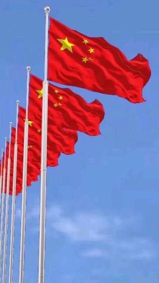 一面飘扬的旗帜