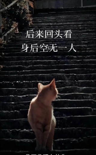 没有人天生坚强，只不过是一次次硬扛