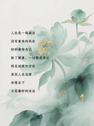 人生写在浮云边