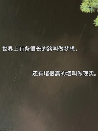 人生的道路上并不平坦，但只要心中有梦想，就永远不会迷失方向