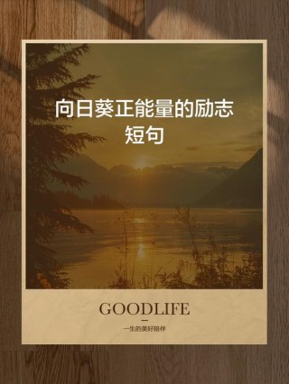 阳光自信的35个金句：简短精辟，转发朋友圈点赞多多！