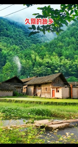 久别的故乡