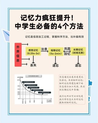 了解记忆真相，用最少时间学习最多的知识？