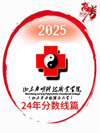 山东力明科技职业学院录取分数线2025是多少分「在各省录取最低分」